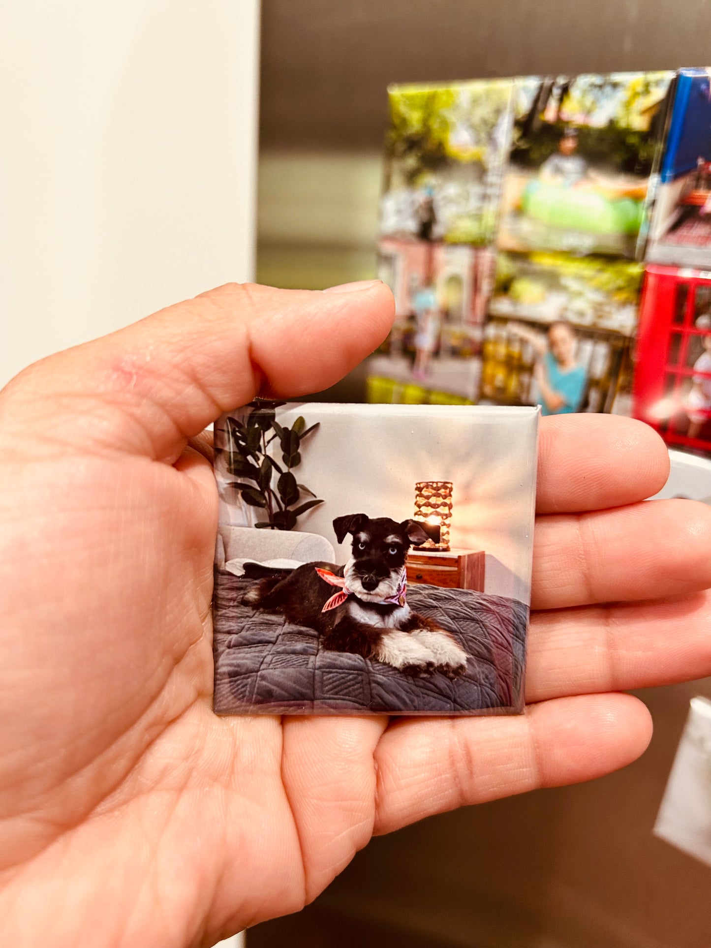 Custom Photo Magnets (Set of 6) or (Set of 12)